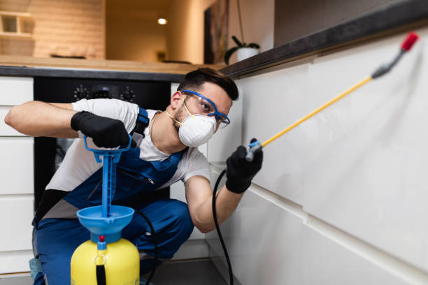 Best Flea Control Services  in Port Salerno, FL