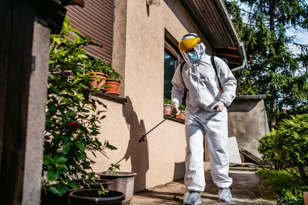 Best Emergency Pest Control  in Port Salerno, FL