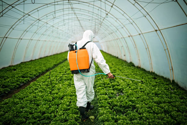 Best Pest Control Near Me  in Port Salerno, FL