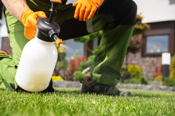 Best Pest Removal Services  in Port Salerno, FL