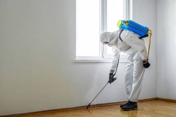 Pest Control for Restaurants in Port Salerno, FL